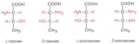 L-треонин, D-треонин, L-аллотреонин, D-аллотреонин