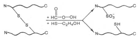 Дисульфид-ные связи разрушают путем окисления или восстановления (надмуравьиной кислотой или бета-меркаптоэтанолом соответственно), при этом образуются свободные полипептиды, содержащие или остатки цистеиновой кислоты, или цистеина