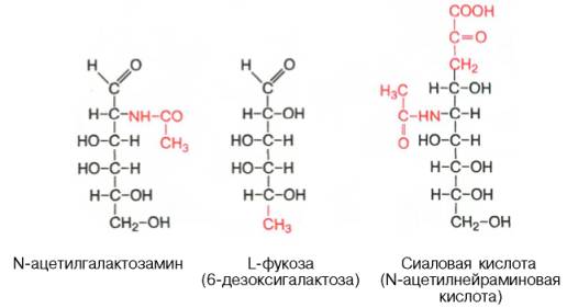 Структурные формулы: N-ацетилгалактозамин, L-фукоза (6дезоксигалактоза), сиаловая кислота (N-ацетилнейраминовая кислота)