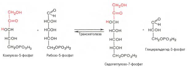 Реакция изомеризации пентозо-5-фосфатов
