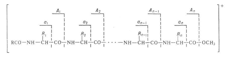 Аминокислотный тип фрагментации