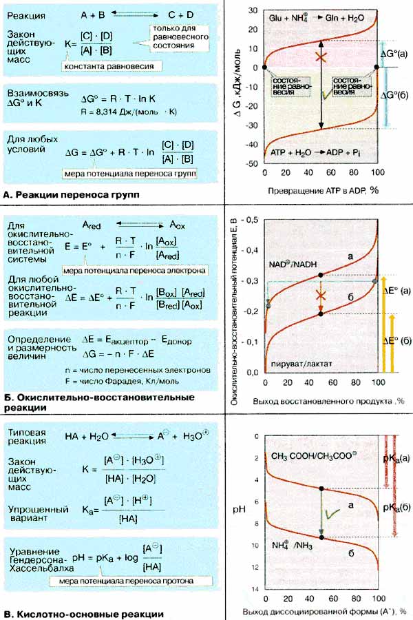 Реакции переноса групп, окислительно-восстановительные реакции; Кислотно-основные реакции