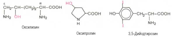 Производные аминокислот: оксилизин, оксипролин, 3,5-дийодтирозин