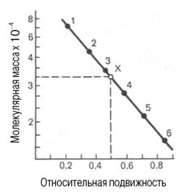 Зависимость между молекулярной массой и относительной подвижностью белка при диск-электрофорезе в полиакриламидном геле в присутствии додецилсульфата натрия (в полулогарифмической системе координат)
