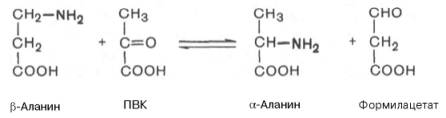 Обратимая реакция синтезиза alpha-аланина и формилацетата (полуальдегид малоновой кислоты)