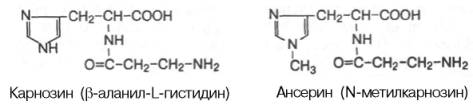 Карнозин (beta-аланил-L-гистидин) и ансерин (N-метилкарнозин)