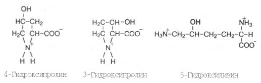 4-гидроксипролин, 3-гидроксипролин, 5-гидроксилизин