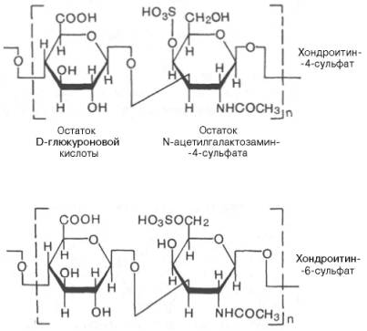 Хондроитин-4-сульфат и хондроитин-6-сульфат