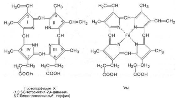 Структурная формула протопорфирина IX и молекулы гема