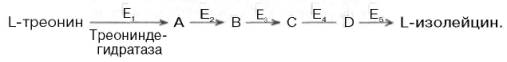 Процесс превращения треонина в изолейцин, насчитывающего пять ферментативных реакций
