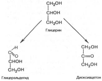 При окислении первичной спиртовой группы трехатомного спирта – глицерола – образуется глицеральдегид (альдоза), а окисление вторичной спиртовой группы приводит к образованию диоксиацетона (кетоза)