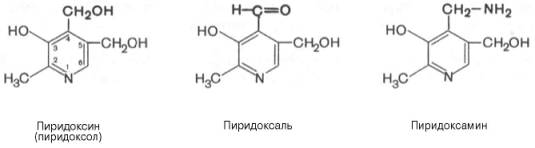 Пиридоксин (пиридоксол), пиридоксаль, пиридоксамин