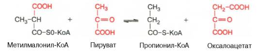 Метилмалонил-оксалоацетат-транскарбоксилазная реакция, катализирующая обратимое превращение пировиноградной и щавелевоуксусной кислот