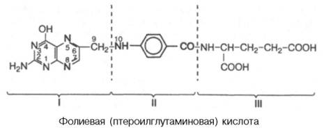 Фолиевая кислота (птероилглутаминовая кислота)