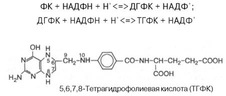 5,6,7,8-тетрагидрофолиевая кислота (ТГФК)