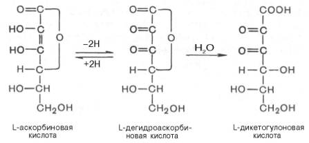 L-аскорбиновая кислота, L-дегидроаскорбиновая кислота, L-дикетогулоновая кислота