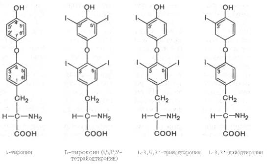 L-тиронин, L-тироксин, L-3,5,3'-трийодтиронин, L-3,3'-дийодтронин