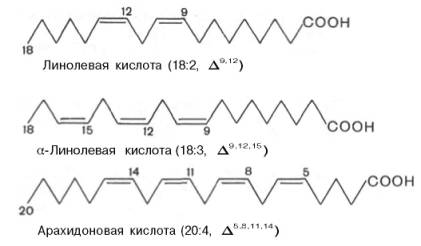 Линолевая кислота, alpha-линолевая кислота, арахидоновая кислота