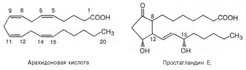 Арахидоновая кислота и простагландин Е1