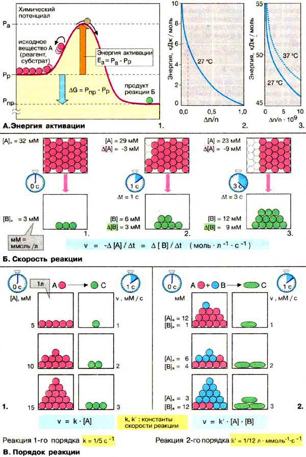 Кинетика химических реакций: энергия активации, скорость реакции и порядок реакции