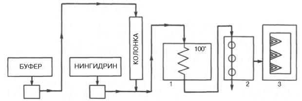 Работа автоматического анализатора аминокислот (принципиальная схема по Шпакману, Муру и Стейну)