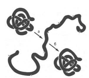 Денатурация и ренатурация рибонуклеазы (по Анфинсену)