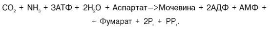Суммарная реакция синтеза мочевины без учета всех промежуточных продуктов
