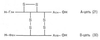 Строение молекулы инсулина (51 аминокислотный остаток) 
