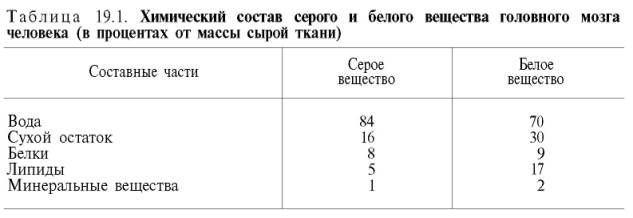 Химический состав серого и белого вещества головного мозга человека