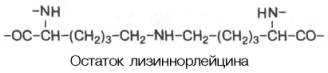 Остаток лизиннорлейцина