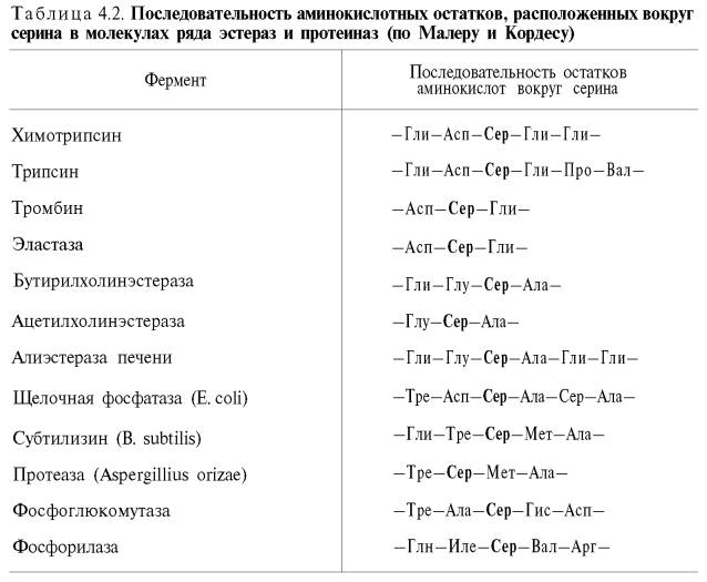 Последовательность аминокислотных остатков, расположенных вокруг серина в молекулах ряда эстераз и протеиназ (по Малеру и Кордесу)