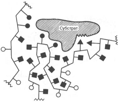 Образование нековалентных связей между ферментом и субстратом (схема)