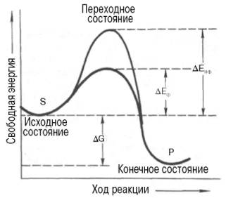 Энергетический механизм ферментативной и неферментативной химических реакций