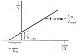 График Лайнуивера-Бэрка