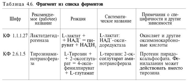 Фрагмент из списка ферментов