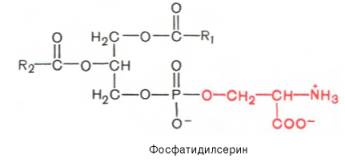 Фосфатидилсерин