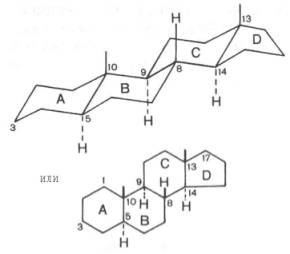 Обобщенное стероидное ядро