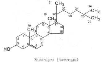 Структурная формула холестерина (холестерола)