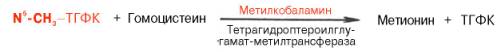 Синтез метионина