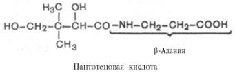 Пантотеновая кислота