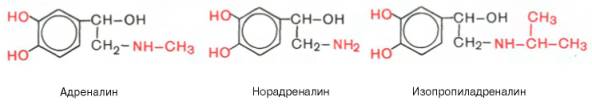Адреналин, норадреналин, изопропиладреналин
