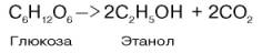 Реакция спиртового брожения