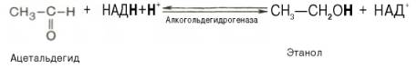 Ацетальдегид присоединяет к себе водород, отщепляемый от НАДН, восстанавливаясь при этом в этанол. Реакция катализируется ферментом алкогольдегидрогеназой: