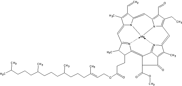 хлорофилл b