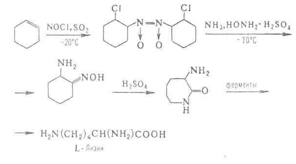 Синтез L-лизина