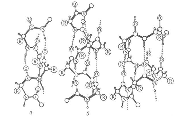 Спиральные конформации полипептидных цепей
