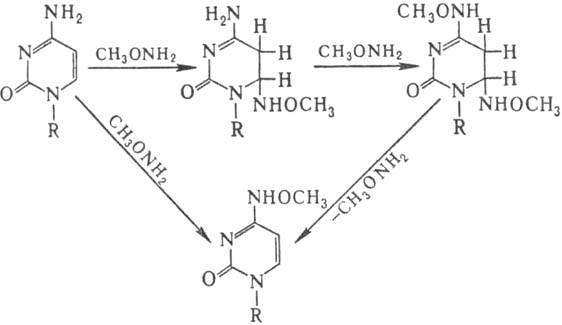 Модификация цитозина