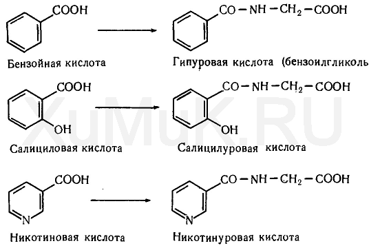 Глицин бензол. Реакции конъюгации с глицином. Салициловая кислота и бензойная кислота. Никотиновая кислота и глицин реакция. Глюкуронидная конъюгация салициловой кислоты.